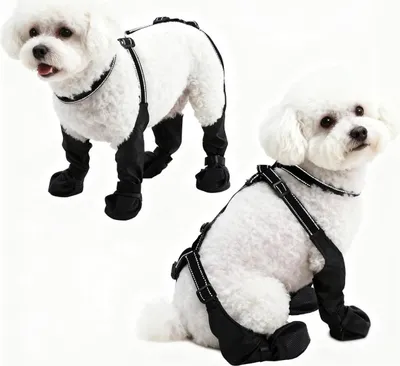 Produktbild von INF Anti-Schmutz & Rutschfeste Hundeschuhe - Saubere & Sichere Pfoten S
