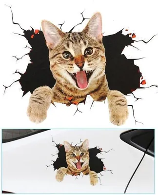 3D Katze Autoaufkleber für lustige, Hauptbild