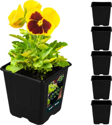 Image de KOTARBAU® Lot de 5 pots de culture rectangulaires 11 x 11 x 12 cm - Bac à semis pour la culture des plantes