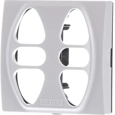Productafbeelding van Somfy afdekplaat Inis Duo 9012479