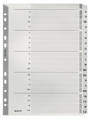 Produktbild von Leitz 43280000, Alphabetischer Registerindex, Karton, Grau, Porträt, A4, 2, 3, 4, 6