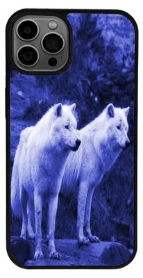 Produktbild von TPU Silikon Hülle für iPhone 13 Handy Cover Case Schutzhülle Handyhülle Bumper MOTIV 100 Wolf Blau