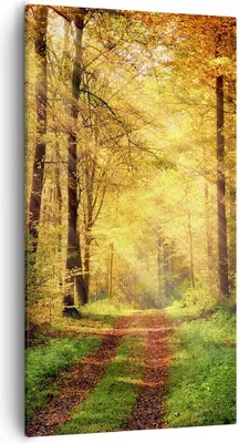 Produktbild von Bild auf Leinwand - Leinwandbild - Wald Baum Natur - 55x100cm - Wand Bild - Wanddeko - Wandbilder - Leinwanddruck - Bilder - Kunstdruck - Wanddekoration - Leinwand bilder - Wandkunst - PA55x100-3718