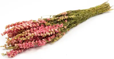 Produktbild von INNA-Glas Rittersporn Trockenstrauß AITHANA, rosa-Creme, 70cm, Ø18cm - Getrockneter Strauß