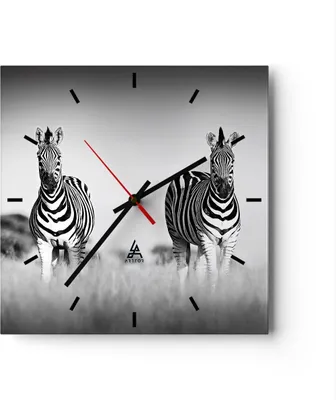 Produktbild von Wanduhr - Quadrat - Glasuhr - Zebras Fotografie Schwarzweiß - 30x30cm - Schleichendes Uhrwerk - Lautlos - zum Aufhängen bereit - Dekoration Modern - Wanddekoration aus Glas - C3AC30x30-4476