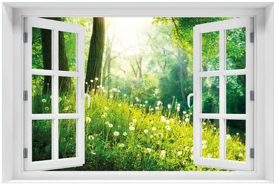 Produktbild von Wallario Premium Glasbild mit Fensterrahmen, freischwebende Optik, kräftige Farben, Größe 60 x 90 cm Motiv Pusteblumen im Wald mit einfallenden Sonnenstrahlen