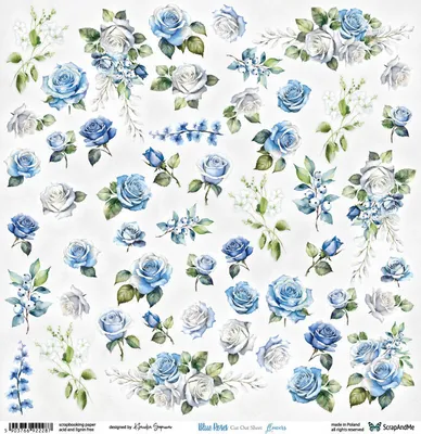 Immagine prodotto di carta scrapbooking bifacciale 30x30cm - ScrapAndMe - Rose blu - Fiori - Foglio da ritagliare