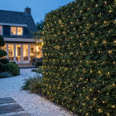 Image de Guirlande lumineuse de Noël avec effet scintillant – 4 x 2 mètres