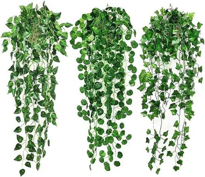 Produktbild von Famanu Hängende Pflanzen Set 3 Stück - Realistische Grüne Dekoration