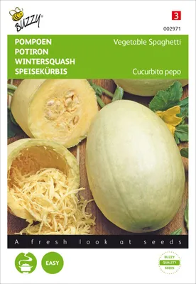 Produktbild von Speisekürbis Vegetable Spaghetti | Spaghettikürbissamen von Buzzy Seeds