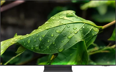 Produktbild von Samsung GQ55S95CAT, 139,7 cm (55"), 3840 x 2160 Pixel, OLED, Smart-TV, WLAN, Schwarz, Titan