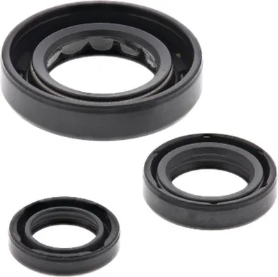 Obrázok produktu pre Sada tesniacich krúžkov motora WINDEROSA W822331