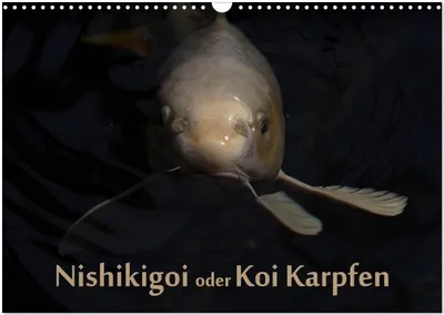 Produktbild von Nishikigoi oder Koi Karpfen (Wandkalender 2026 DIN A3 quer), CALVENDO Monatskalender