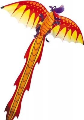 Produktbild von Jednoliniowy Dragon 3D 102 x 320 cm pomarańczowy / czerwony