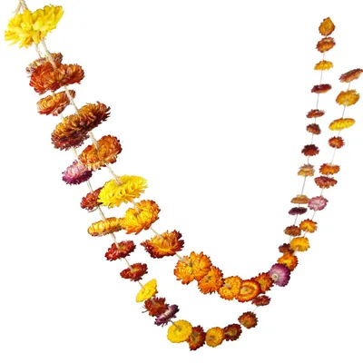 Kunstgetrocknete Chrysanthemenranke, 42 Blüten, 210 cm