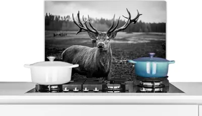 Produktbild von KitchenYeah®  Spritzschutz Küche - Küchenrückwand - Wandschutz für Herd und Spüle - Tiere - Hirsch - Geweih - Schwarz und weiß - Natur 60x40 - Alu-Dibond (Alternative zum Spritzschutz aus Glas) - Hitz