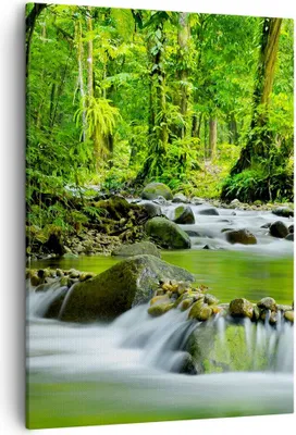 Produktbild von Bild auf Leinwand - Leinwandbild - Einteilig - Stream Wald Natur - 50x70cm - Wand Bild - Wanddeko - Wandbilder - Leinwanddruck - Kunstdruck - Wanddekoration - Leinwand bilder - Wandbild - PA50x70-0174
