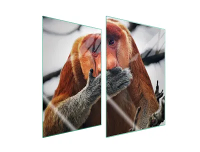 Produktbild von Herdabdeckplatten 2 teilig 35x52 Glaskeramikkochfeld Abdeckung Glas Schneidebrett Nasenaffe Tier
