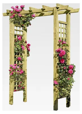 Produktbild von Eingangspergola 160 x 62 x 210 cm aus Holz mit Rankelementen