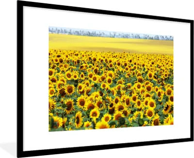 Produktbild von MuchoWow® Gerahmtes Poster Sonnenblume - Blumen - Natur 90x60 cm - Poster mit Schwarzem Bilderrahmen Wandposter Rahmen Foto Bilder - Wanddekoration - Fotos