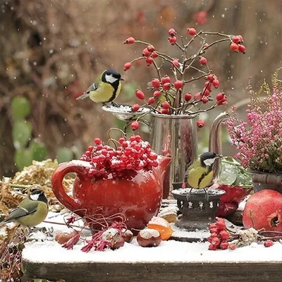 Produktbild von 20 Servietten Winter Ambiance - Blaumeisen am Wintertisch 33x33cm