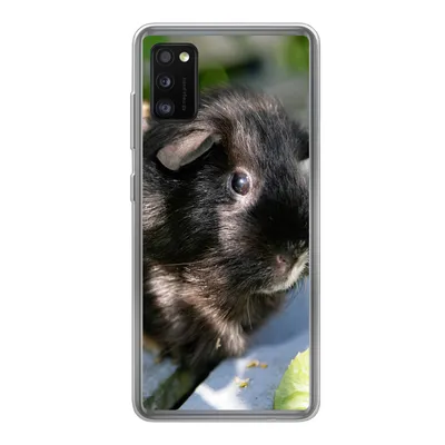Produktbild von MuchoWow® Handyhülle Schutzhülle Hülle für Samsung Galaxy A41 Meerschweinchen im Garten Silikon Softcase Handy Hülle - Mobiltelefon