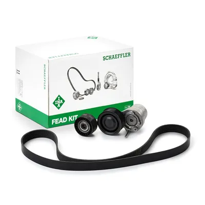 Produktbild von INA 529 0313 10 Keilrippenriemensatz für RENAULT Twingo III Schrägheck (BCM)
