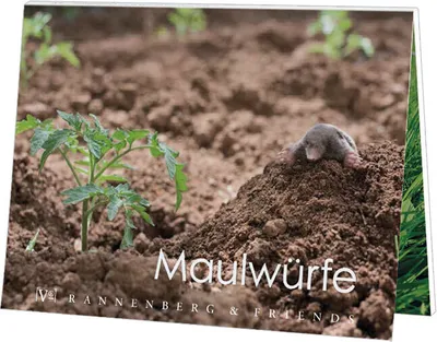 Produktbild von Postkartenbuch Maulwürfe, Postkartenbücher Ansichtskarte Postkarte Tier Maulwurf