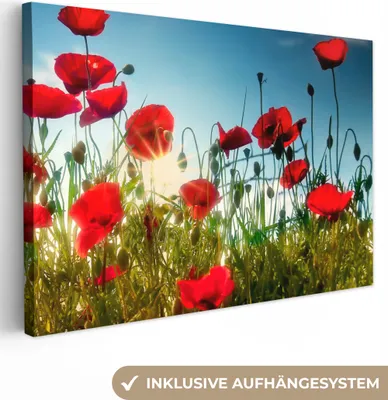 Produktbild von MuchoWow® - Leinwandbilder - Mohnblumen - Toskana - Sonne - Rot - Blau, Wandbild, Wanddeko Bilder Wohnzimmer, 120x80 cm