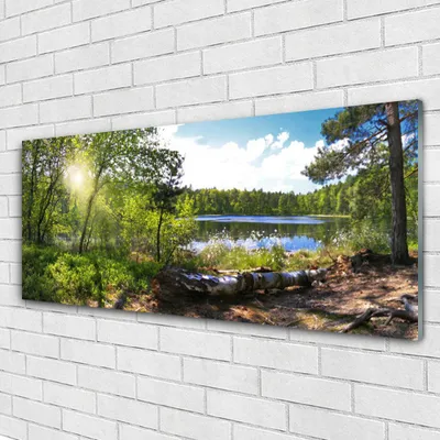 Produktbild von Acrylglasbilder 125x50 Wandbild Druck Wald See Natur