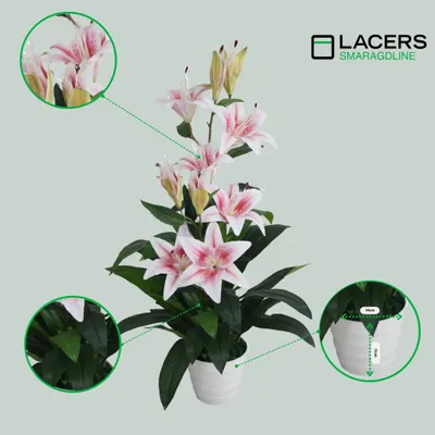 Produktbild von Lacers SMARAGDLINE künstliche Lilien weiß/rosa 90cm - Dekorative Kunstpflanze im Topf-lebendige Farben-wie echt wirkende Blätter & Blüten