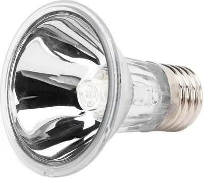 Zdjęcie produktu dla UVA UVB Lampa słoneczna o pełnym spektrum Ciepła sterylizująca żarówka do opalania dla jaszczurek, gadów i płazów (220 V, 50 W)