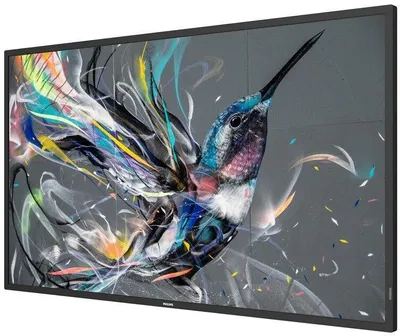 Immagine prodotto di Philips 43BDL3510Q/00 43" Display