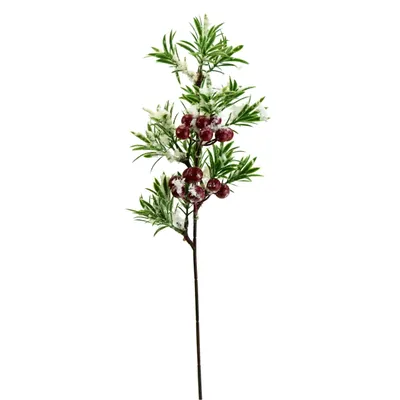 Produktbild von Holunderblütenzweig mit Schnee 40 cm