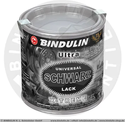 Produktbild von 250 ml Universalschwarzlack Farbe: schwarz Schwarzlack matt-glänzend inkl. Pinsel