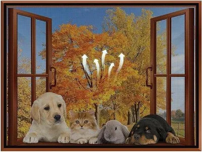 Produktbild von Famanu Insektenschutzrahmen für Fenster - Schwarz, 120x120cm