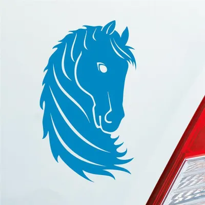 Produktbild von Auto Aufkleber Pferd Horse Pony Pferdeliebhaber Reiten 15x9 cm Hellblau Sticker Heckscheibenaufkleber