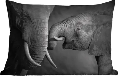 Produktbild von MuchoWow® Outdoor Kissen - Wildtiere - Elefant - Schwarz - Weiß - Porträt - 50x30 cm - Wetterfest - Lounge Kissen - Sofa kissen - Wohnzimmer Dekoration