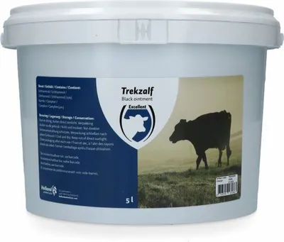Produktbild von Ziehsalbe mit 4 Prozent Campher und 15 Prozent Ichthammol zur äußerlichen Anwendung