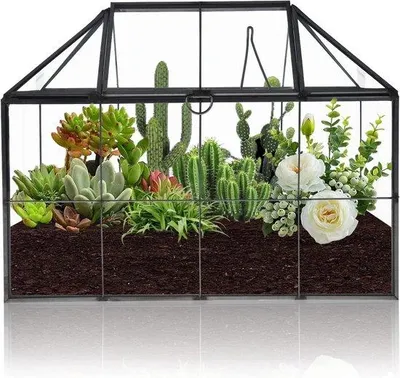 Produktbild von Glas Terrarium - Vintage - Einzelstück - Schwarz - 23 cm