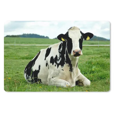 Produktbild von MuchoWow® Schreibtischunterlage Kuh - Gras - Tiere - Berg 60x40 cm - XXL Mauspad - Großes Mauspad