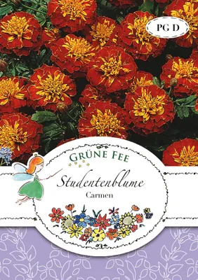 Produktbild von Grüne Fee - Studentenblume Carmen Samen - 13715