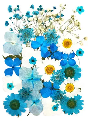 Produktbild von Set Trockenblumen-Press-Set Bunte Naturblumen DIY Kunsthandwerk Zubehör Harz Schmuck Epoxidform Kerzen Seife Vase Herstellung Nagelkarten Scrapbooking Blumendekorationen D
