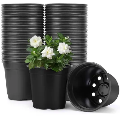 Zdjęcie produktu dla Doniczka plastikowa okrągła - 50 szt. - 10 cm - Czarna
