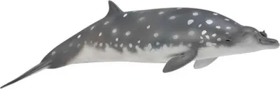 Produktbild von Collecta 88761 Blainville-Schnabelwal 17 cm Wassertiere