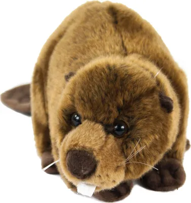 Image de Doudou castor brun couché 40 cm