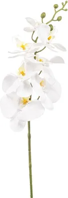 Produktbild von artplants.de Kunst Phalaenopsis Orchideenzweig AXELOR, weiß, 85cm - Künstlicher Zweig Orchidee
