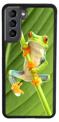 Produktbild von TPU Silikon Hülle für Samsung Galaxy A34 5G Handy Cover Case Schutzhülle Handyhülle Bumper MOTIV 268 Frosch Grün