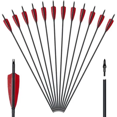 Produktbild von 12er Carbonpfeile 30 Zoll für Bogenschießen, Jagdpfeile für Recurvebogen, Compoundbogen, Langbogen, Naturfeder, Stahlspitze