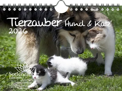 Produktbild von Tierzauber Hund und Katz DIN A5 Kalender für 2026 Freundschaften Hund Katze - Seelenzauber